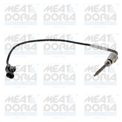 Sensor, exhaust gas temperature